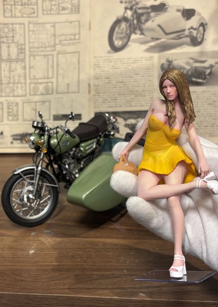 ARTHOBYCOMM（アソビーコム） | Kawasaki Ninja ZX-RR & RQ