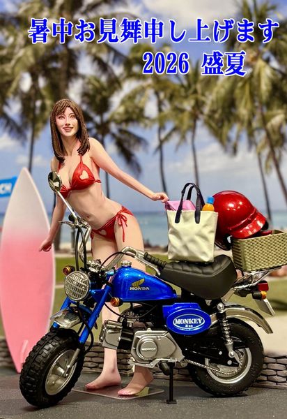 ARTHOBYCOMM（アソビーコム） | Kawasaki Ninja ZX-RR & RQ
